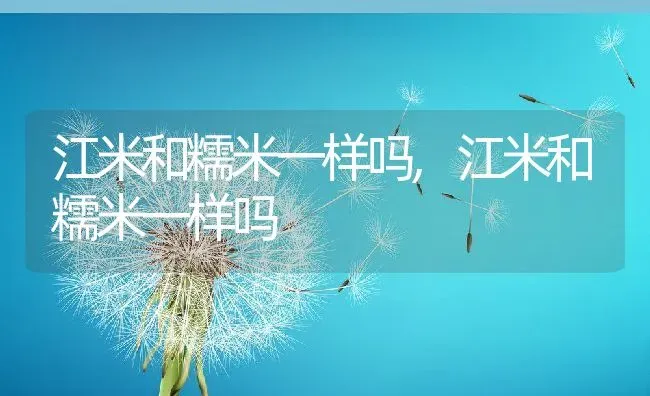 江米和糯米一样吗,江米和糯米一样吗 | 养殖常见问题