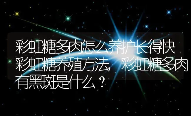 彩虹糖多肉怎么养护长得快彩虹糖养殖方法,彩虹糖多肉有黑斑是什么？ | 养殖常见问题