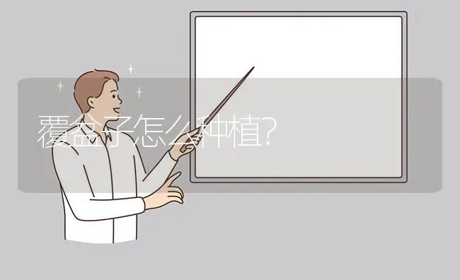 覆盆子怎么种植? | 养殖问题解答