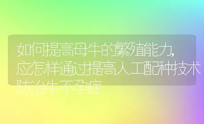 如何提高母牛的繁殖能力,应怎样通过提高人工配种技术防治牛不孕症 | 养殖常见问题