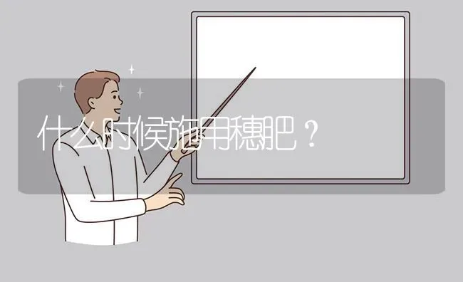 什么时候施用穗肥? | 养殖问题解答