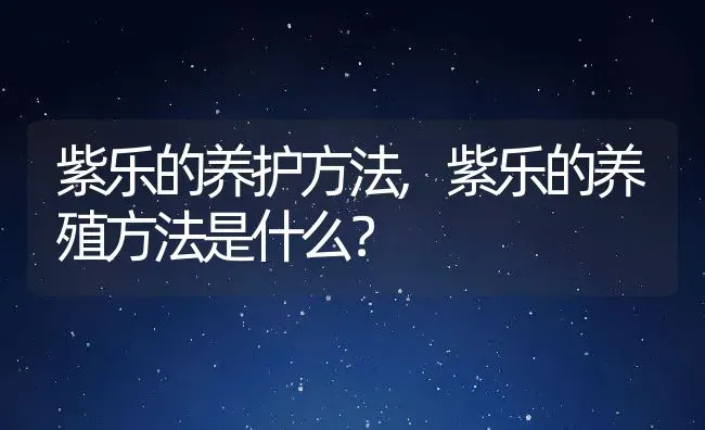 紫乐的养护方法,紫乐的养殖方法是什么？ | 养殖常见问题