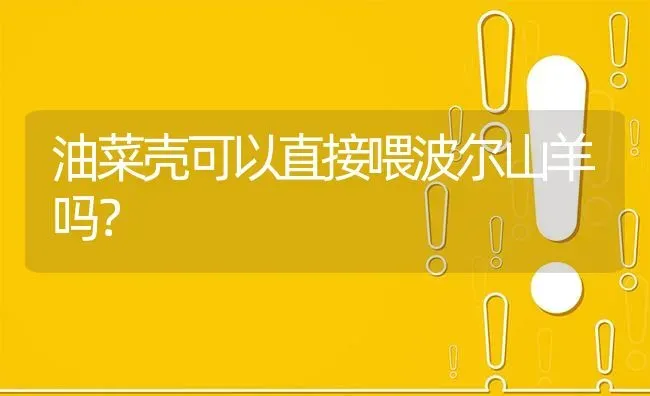 油菜壳可以直接喂波尔山羊吗? | 养殖问题解答