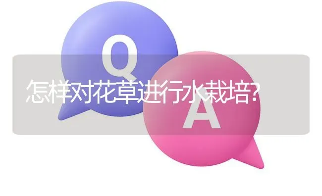 怎样对花草进行水栽培? | 养殖问题解答