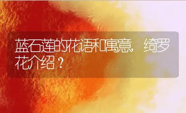 蓝石莲的花语和寓意,绮罗花介绍？ | 养殖常见问题