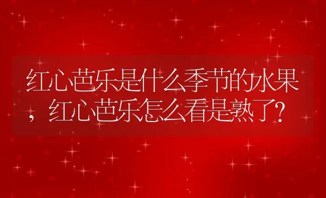 红心芭乐是什么季节的水果,红心芭乐怎么看是熟了？ | 养殖常见问题