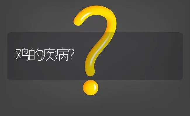 鸡的疾病? | 养殖问题解答