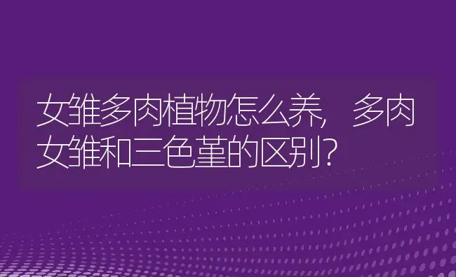 女雏多肉植物怎么养,多肉女雏和三色堇的区别？ | 养殖常见问题