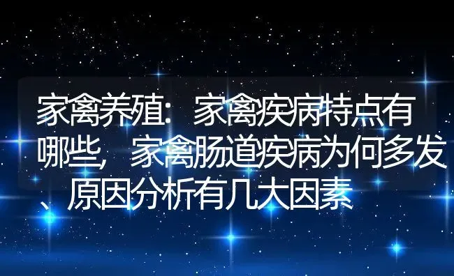 家禽养殖:家禽疾病特点有哪些,家禽肠道疾病为何多发、原因分析有几大因素 | 养殖常见问题