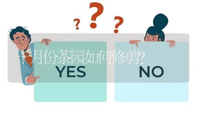 十月份茶园如何修剪? | 养殖问题解答