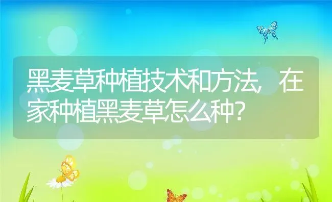 黑麦草种植技术和方法,在家种植黑麦草怎么种？ | 养殖常见问题