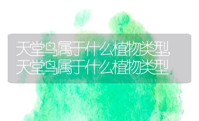 天堂鸟属于什么植物类型,天堂鸟属于什么植物类型 | 养殖常见问题
