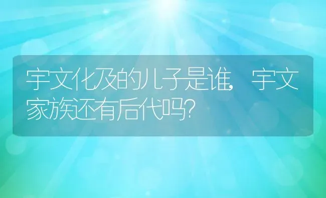 宇文化及的儿子是谁,宇文家族还有后代吗？ | 养殖常见问题