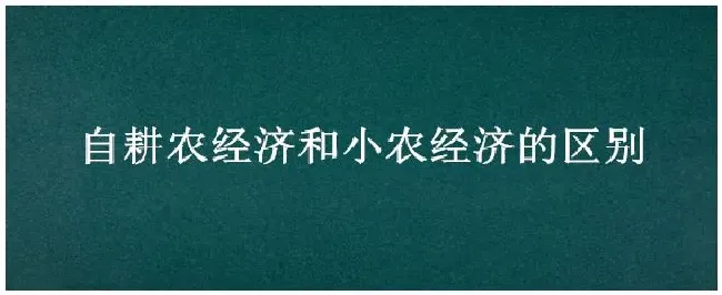 自耕农经济和小农经济的区别 | 农业常识