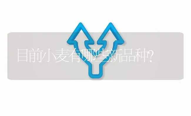 目前小麦有哪些新品种? | 养殖问题解答