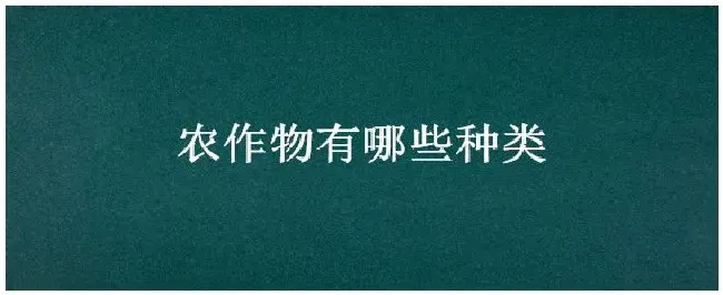 农作物有哪些种类 | 三农问答