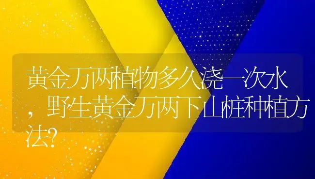 黄金万两植物多久浇一次水,野生黄金万两下山桩种植方法？ | 养殖常见问题