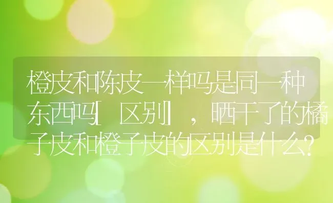 橙皮和陈皮一样吗是同一种东西吗[区别],晒干了的橘子皮和橙子皮的区别是什么?都能叫陈皮么？ | 养殖常见问题