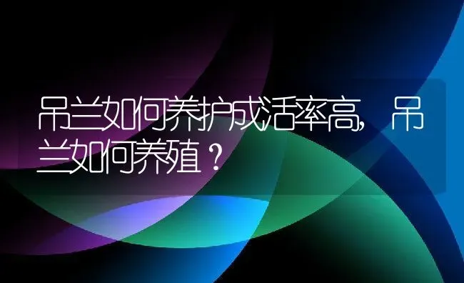 吊兰如何养护成活率高,吊兰如何养殖？ | 养殖常见问题