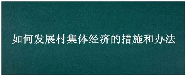如何发展村集体经济的措施和办法 | 三农问答