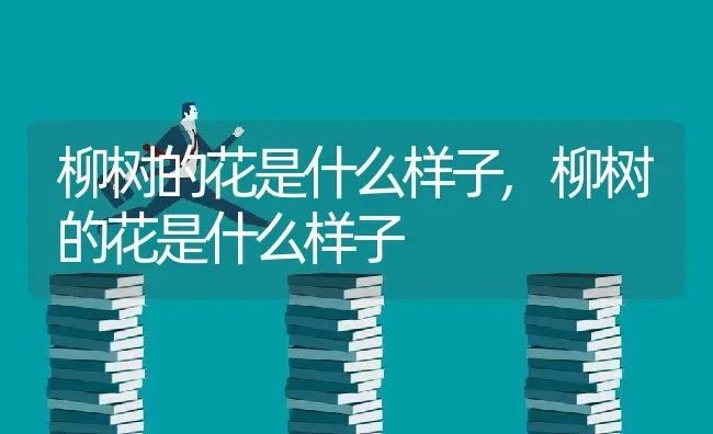柳树的花是什么样子,柳树的花是什么样子 | 养殖常见问题