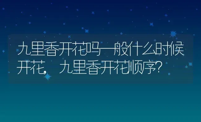 九里香开花吗一般什么时候开花,九里香开花顺序？ | 养殖常见问题