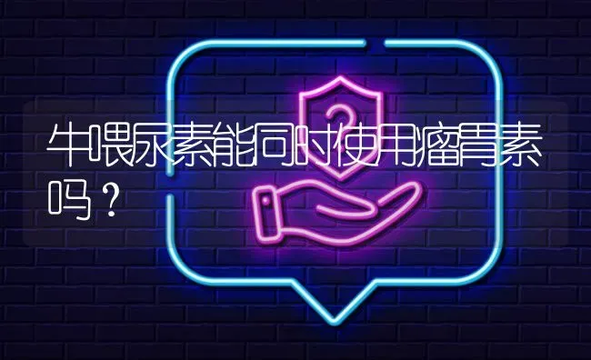 牛喂尿素能同时使用瘤胃素吗? | 养殖问题解答