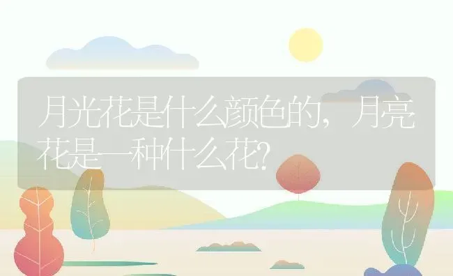 月光花是什么颜色的,月亮花是一种什么花？ | 养殖常见问题