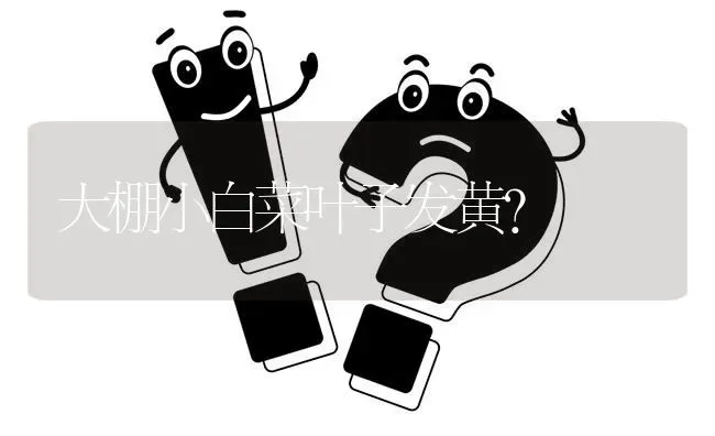 大棚小白菜叶子发黄? | 养殖问题解答