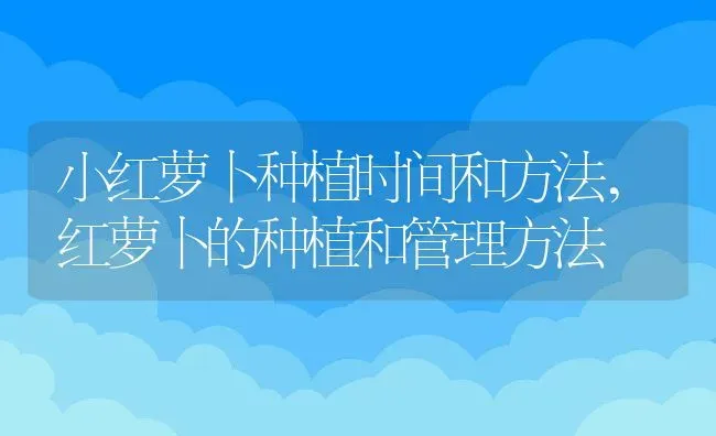 小红萝卜种植时间和方法,红萝卜的种植和管理方法 | 养殖常见问题