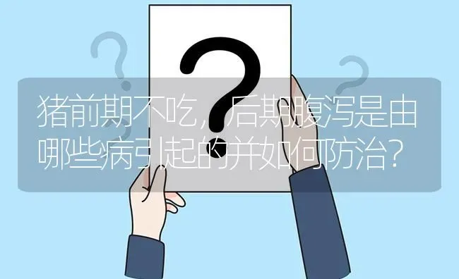 猪前期不吃,后期腹泻是由哪些病引起的并如何防治? | 养殖问题解答