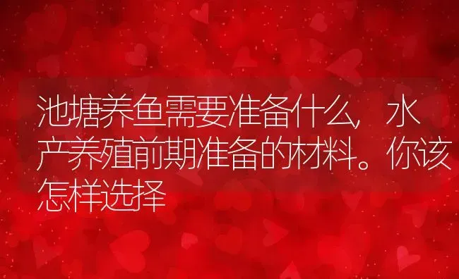 池塘养鱼需要准备什么,水产养殖前期准备的材料。你该怎样选择 | 养殖常见问题