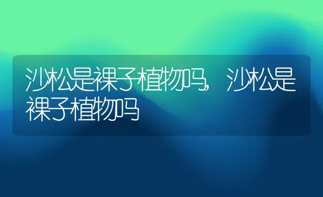 沙松是裸子植物吗,沙松是裸子植物吗 | 养殖常见问题
