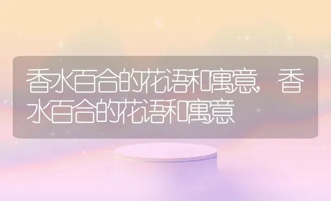 香水百合的花语和寓意,香水百合的花语和寓意 | 养殖常见问题