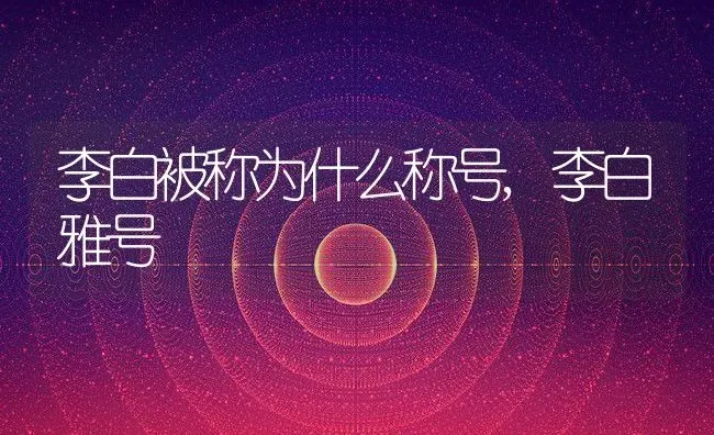 李白被称为什么称号,李白雅号 | 养殖常见问题