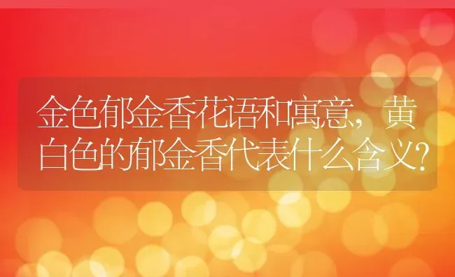 金色郁金香花语和寓意,黄白色的郁金香代表什么含义？ | 养殖常见问题