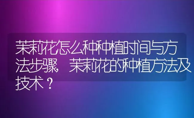 茉莉花怎么种种植时间与方法步骤,茉莉花的种植方法及技术？ | 养殖常见问题