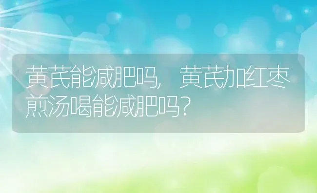 黄芪能减肥吗,黄芪加红枣煎汤喝能减肥吗？ | 养殖常见问题