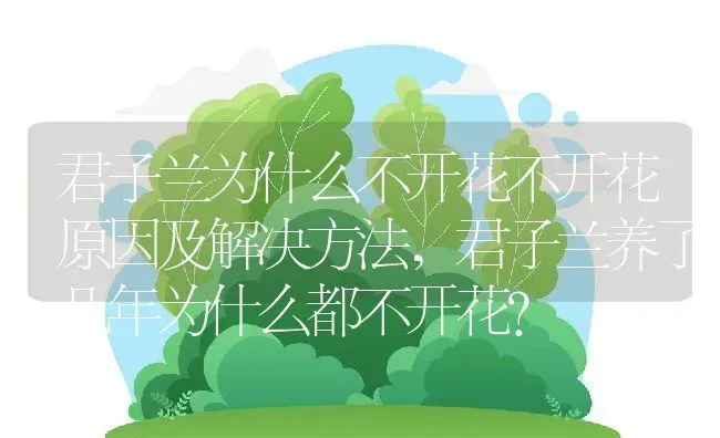 君子兰为什么不开花不开花原因及解决方法,君子兰养了几年为什么都不开花？ | 养殖常见问题