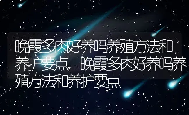 晚霞多肉好养吗养殖方法和养护要点,晚霞多肉好养吗养殖方法和养护要点 | 养殖常见问题