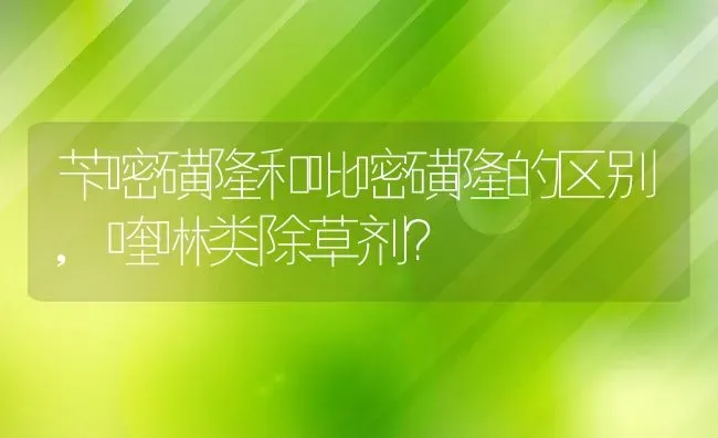 苄嘧磺隆和吡嘧磺隆的区别,喹啉类除草剂？ | 养殖常见问题