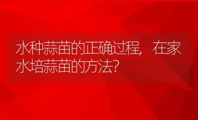 水种蒜苗的正确过程,在家水培蒜苗的方法？ | 养殖常见问题