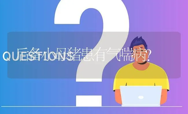 后备小母猪患有气喘病? | 养殖问题解答