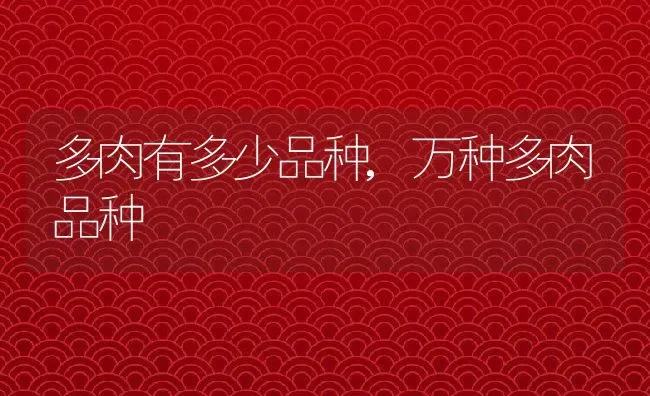 多肉有多少品种,万种多肉品种 | 养殖常见问题