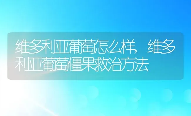 维多利亚葡萄怎么样,维多利亚葡萄僵果救治方法 | 养殖常见问题