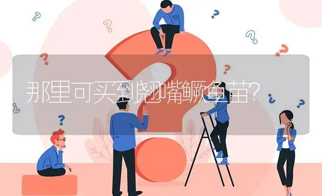 那里可买到翘嘴鳜鱼苗? | 养殖问题解答