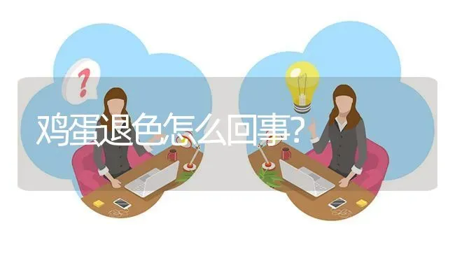 鸡蛋退色怎么回事? | 养殖问题解答