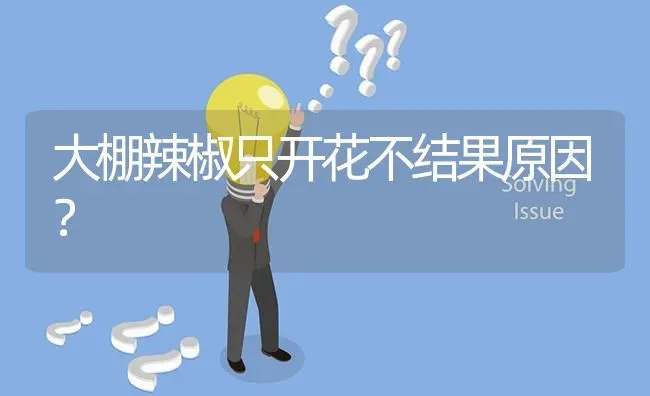 大棚辣椒只开花不结果原因? | 养殖问题解答