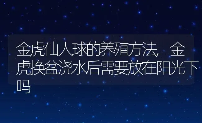 金虎仙人球的养殖方法,金虎换盆浇水后需要放在阳光下吗 | 养殖常见问题