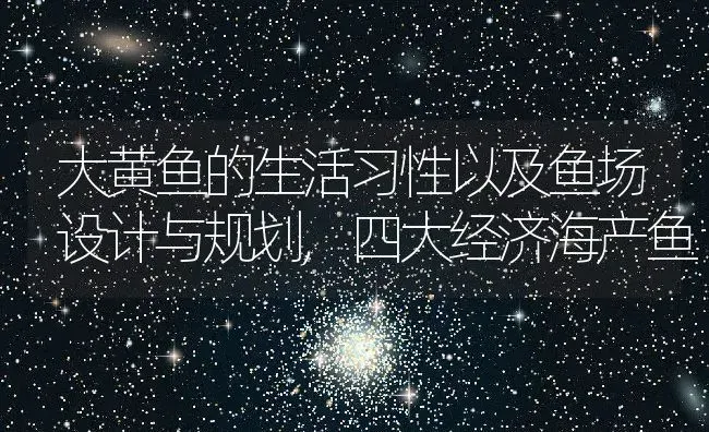 大黄鱼的生活习性以及鱼场设计与规划,四大经济海产鱼 | 养殖常见问题
